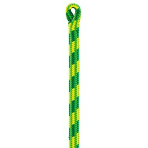 Cuerda de Poda Petzl Control 12.5 mm